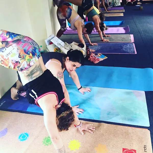 Academia de yoga Apsarah - San Andres del Rabanedo