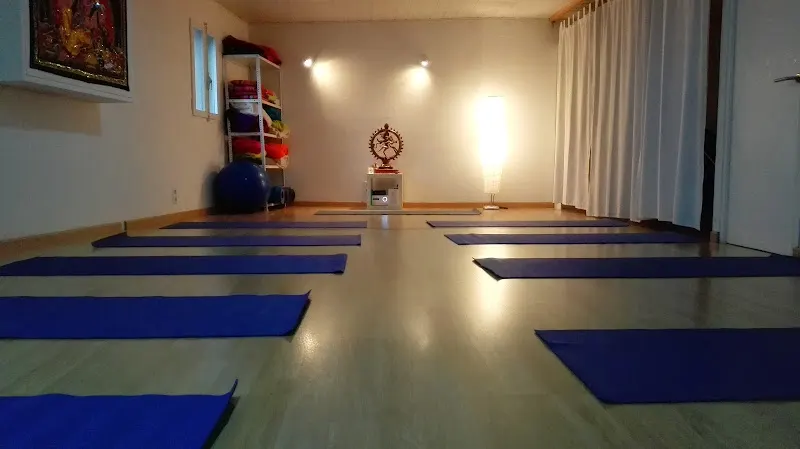 Lotus, Centro de Ayurveda Yoga y Crecimiento Personal - Masajista deportivo en La Seu d'Urgell - foto 2