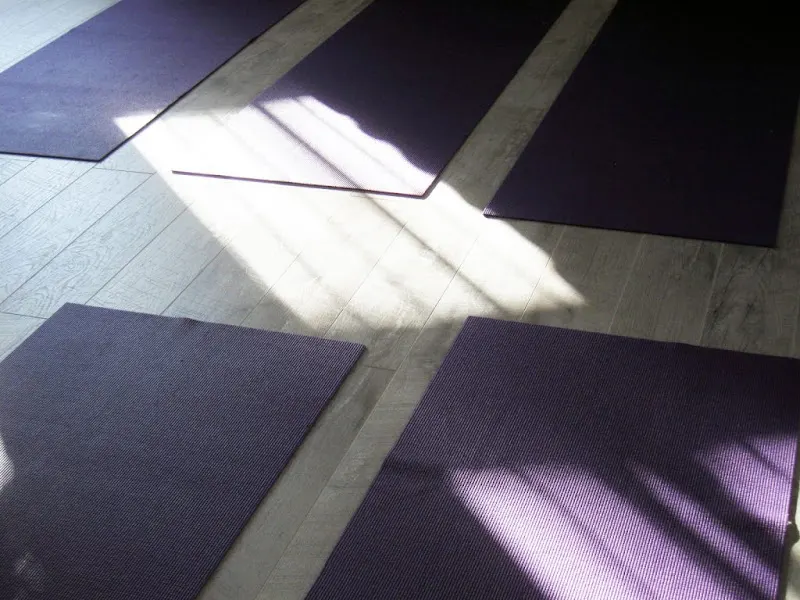 Escuela de Yoga Devanagari - Centro de yoga en Villanueva de la Cañada - foto 2