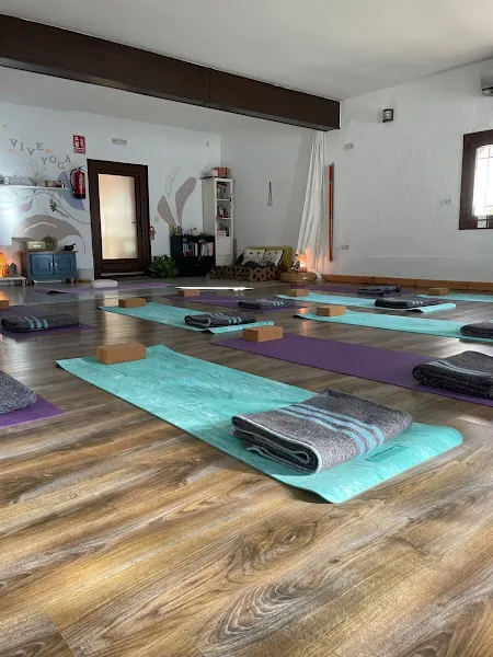 ViveYoga Colmenar - Centro de yoga en Colmenar Viejo - foto 2