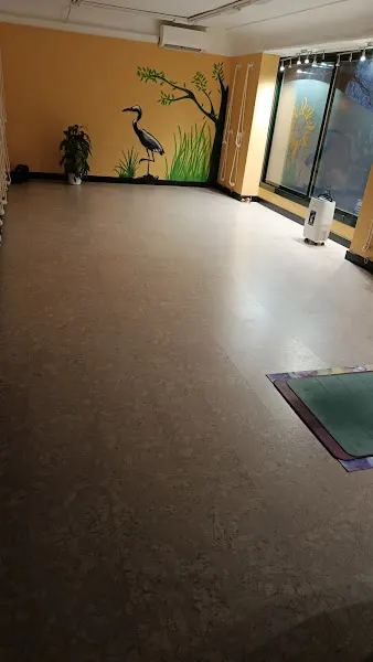 Yoga Calma - Centro de yoga en Madrid - foto 2