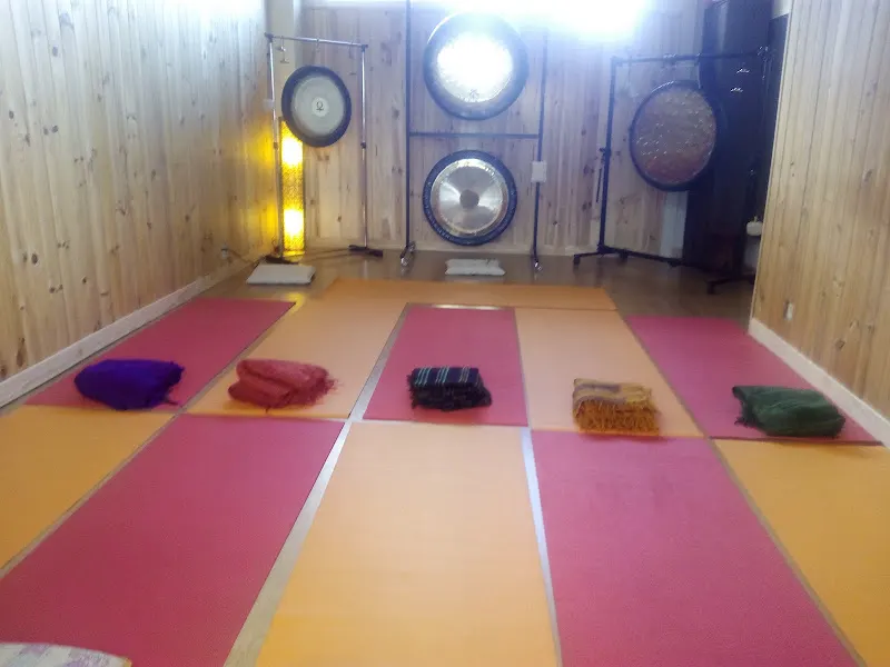 Centro de Yoga y Ayurveda. Do Ananda Yoga - Centro de yoga en Galapagar - foto 2