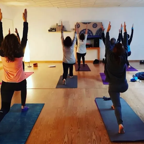 MOVERE Yoga - Centro de yoga en Boadilla del Monte - foto 2