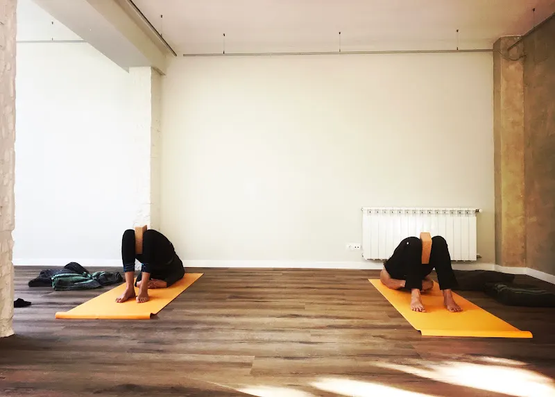 Aleila - Clínica de fisioterapia en Madrid - foto 2