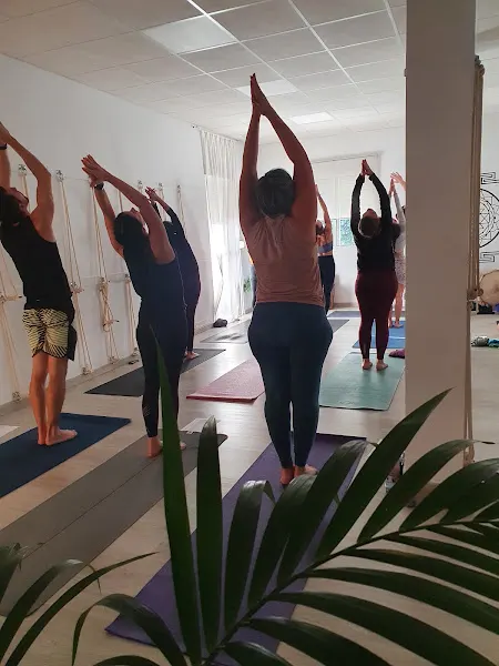 Vinyasa Yoga Estudio - Centro de yoga en Málaga - foto 2
