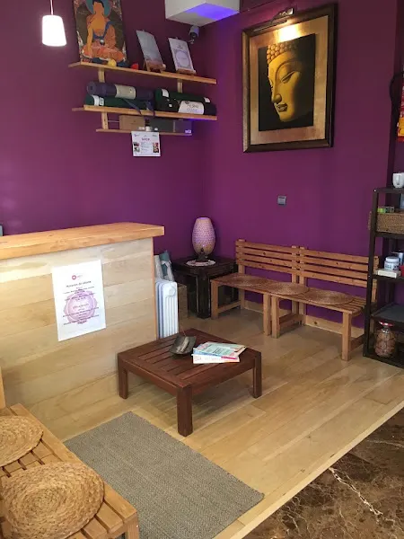 Yogashala Institute Marbella - Centro de yoga en Marbella - foto 2