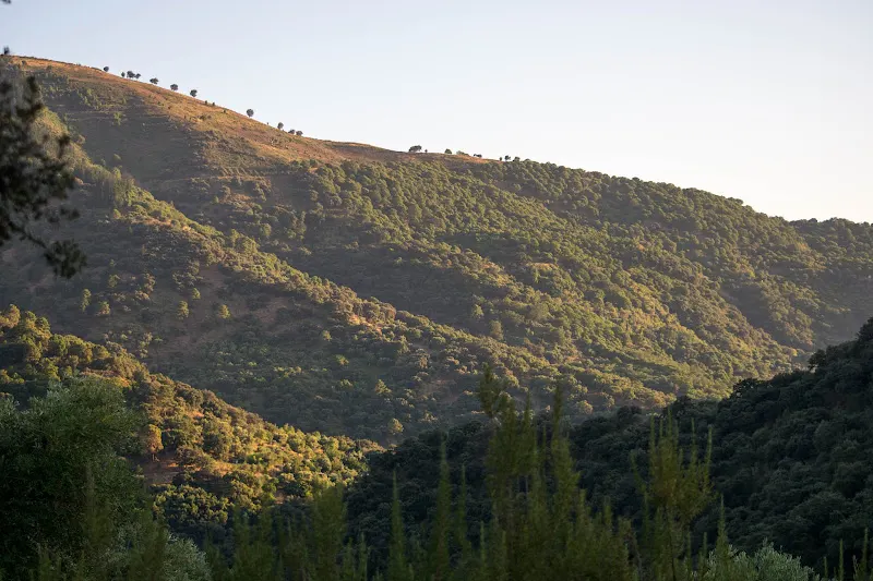Secret Garden Retreat - Ronda