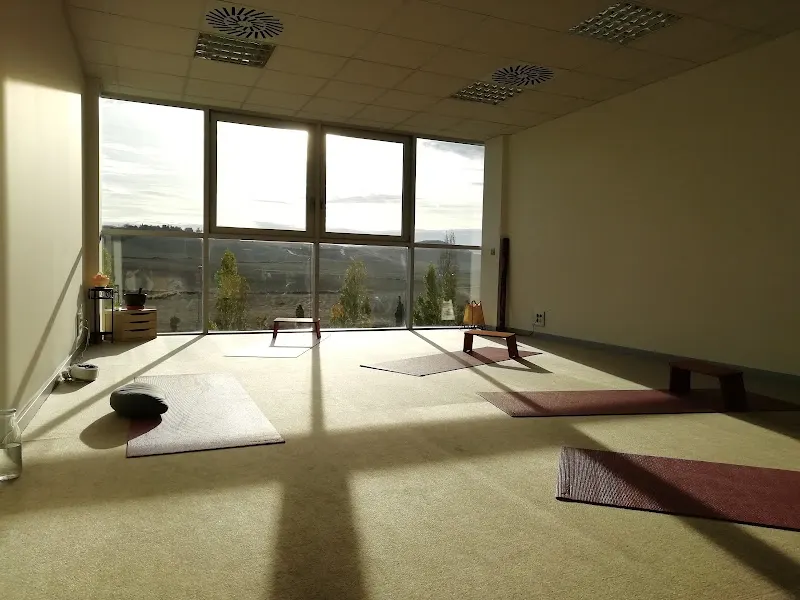 ALAYA YOGA Mutilva - Pamplona