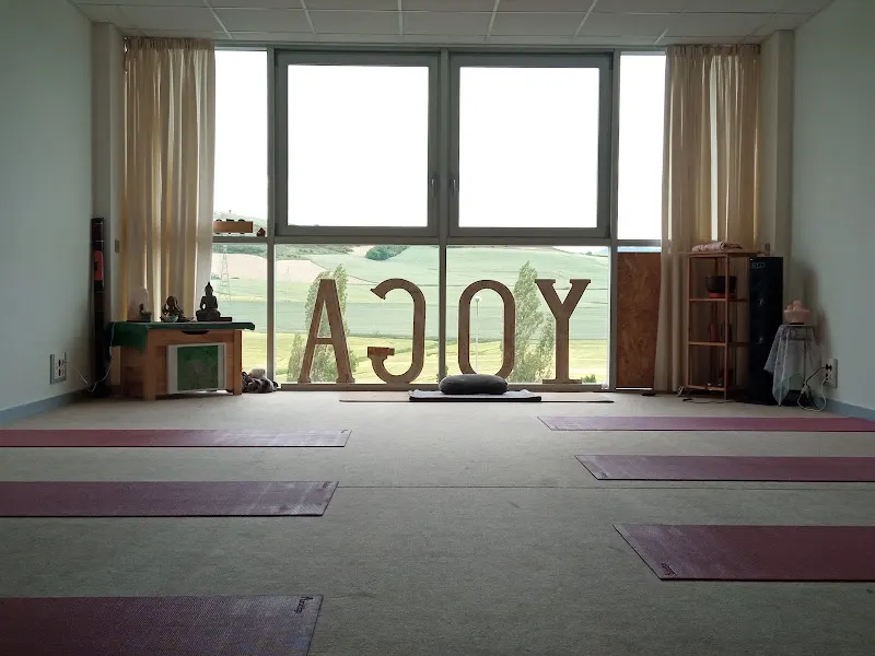 ALAYA YOGA Mutilva - Centro de yoga en Pamplona - foto 2