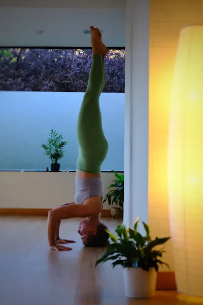 Pumori Yoga Shala - Centro de yoga en Burlada - foto 2
