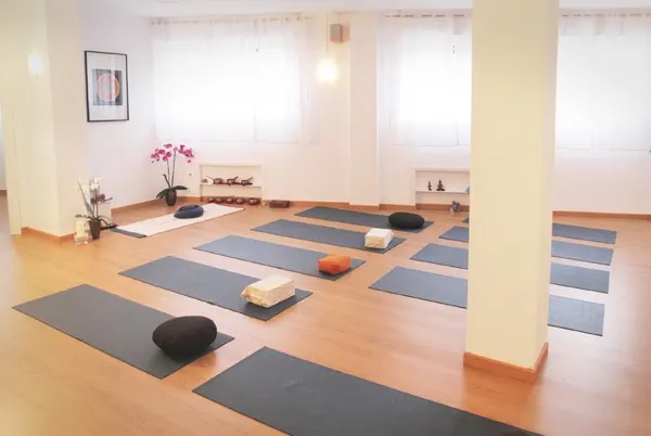 Vidya Yoga Meditación - Centro de yoga en Pamplona - foto 2