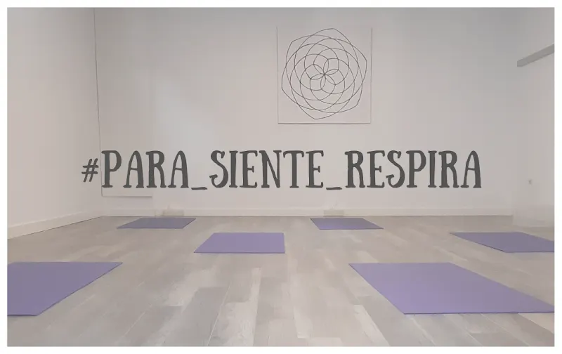 Escuela Yoga Pamplona Hridayam - Centro de yoga en Pamplona - foto 2