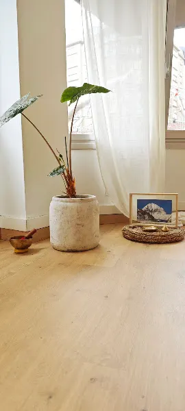 Mónica Yoga - Centro de yoga en Vigo - foto 2