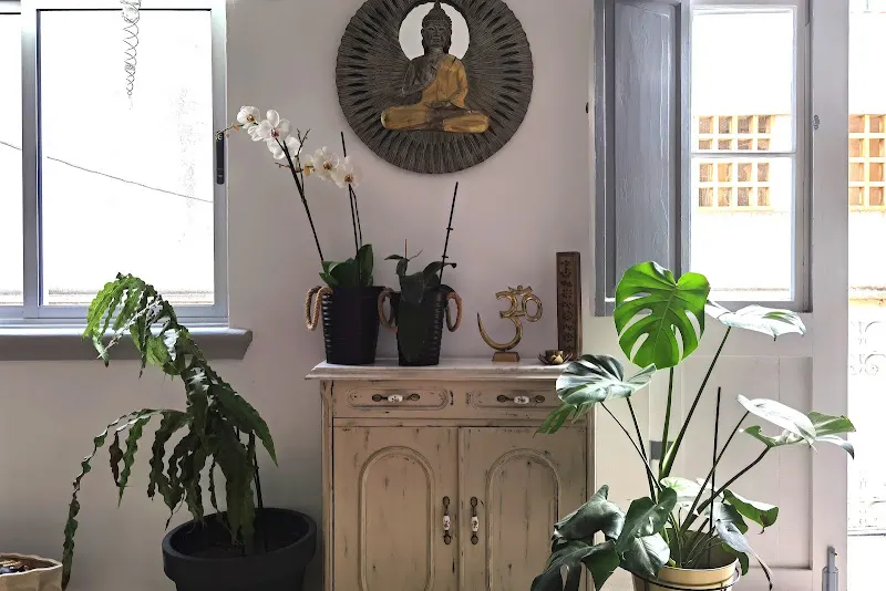VIO consult - Centro de retiro de yoga en Los Llanos de Aridane - foto 2