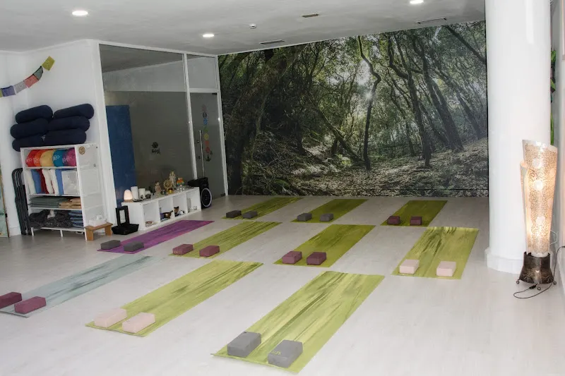 Escuela de Yoga Ling Natural YOGA - Centro de yoga en Santa Cruz de Tenerife - foto 2