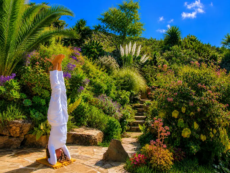 Vidyamor Yoga Retreats Canary Islands en Los Llanos de Aridane