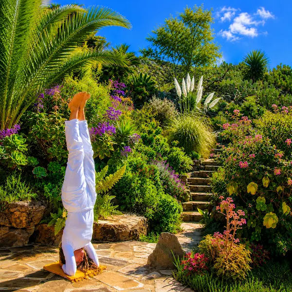 Vidyamor Yoga Retreats Canary Islands - Centro de retiro de yoga en Los Llanos de Aridane - foto 2