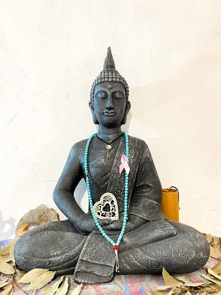 Escuela de Yoga Sat Chit Ananda - Centro de yoga en Algemesí - foto 2