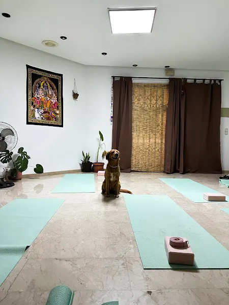 Surya Yoga - Sueca