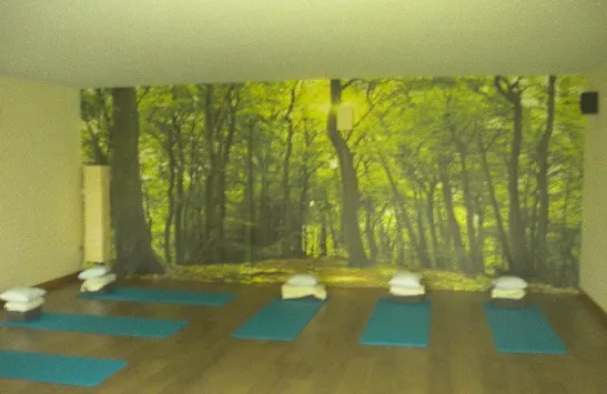 Lasai Bizi escuela de yoga y meditación en Basauri