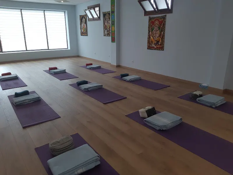 Centro de Yoga Narayana - Bilbao
