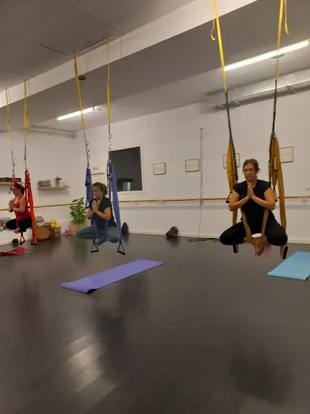 Ikigai, centro de bienestar - Centro de yoga en Alcoy - foto 2