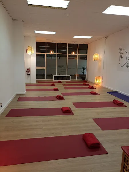Yogaterapia Barcelona by Silvia - Centro de yoga en Montcada i Reixac - foto 2