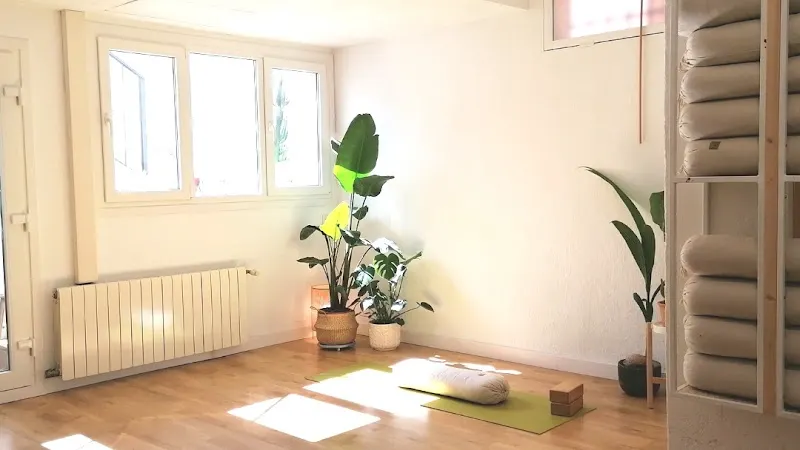 Melissa Martin Yoga Iyengar - Centro de yoga en Málaga - foto 2