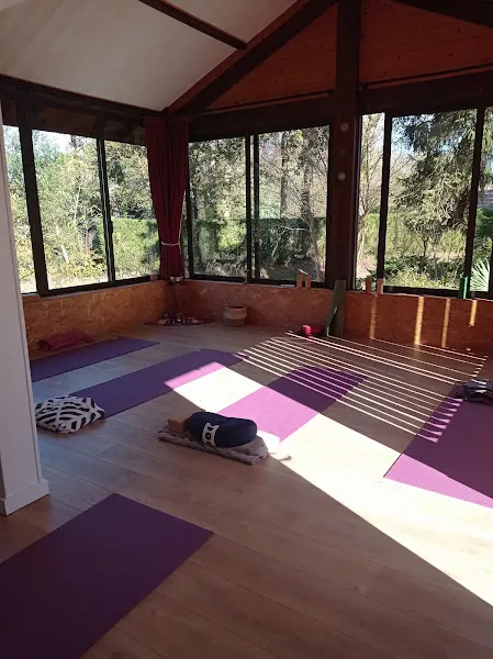 ​Le Petit Studio De Yoga - Irún