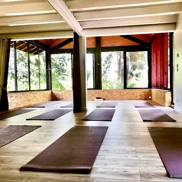 Le Petit Studio De Yoga - Centro de yoga en Irún - foto 2