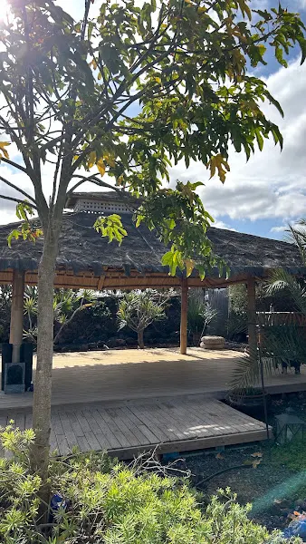 La Lajita Yoga en Fuerteventura - La Oliva