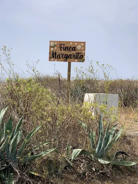 Finca Margarita 218 en Telde