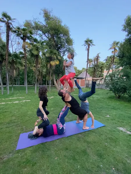 Acroyoga con Akrobears - Colmenar Viejo