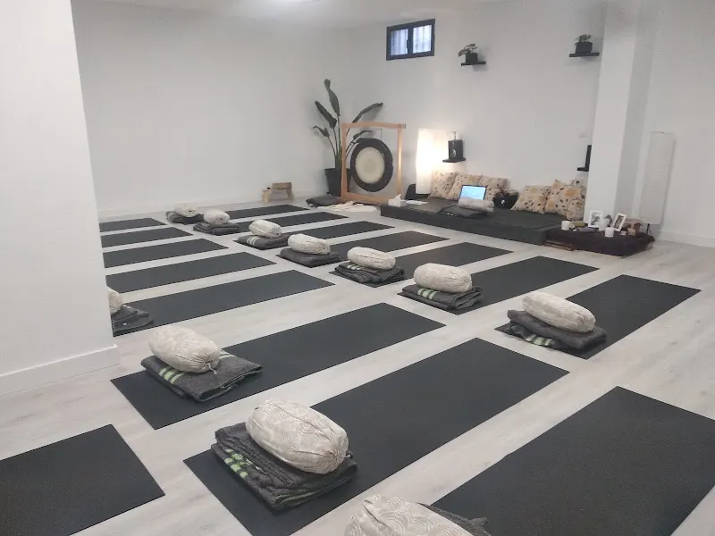 Santosha Salud Holística Valencia - Valencia