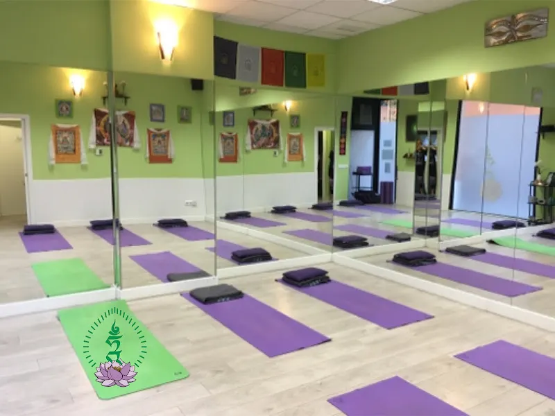 VIDYA TAM Estudio de Yoga y Terapias Naturales
