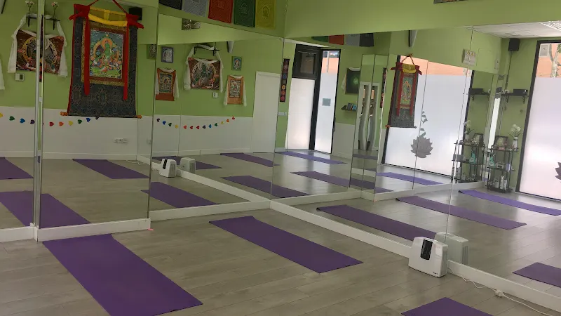 VIDYA TAM Estudio de Yoga y Terapias Naturales - Centro de yoga en Madrid - foto 2