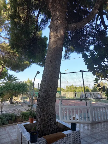 Casa Azul Carrús Elche - Elche