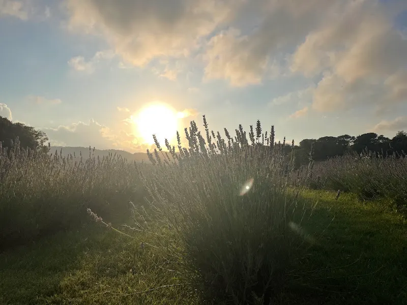 Ekra Experience - Barcelona