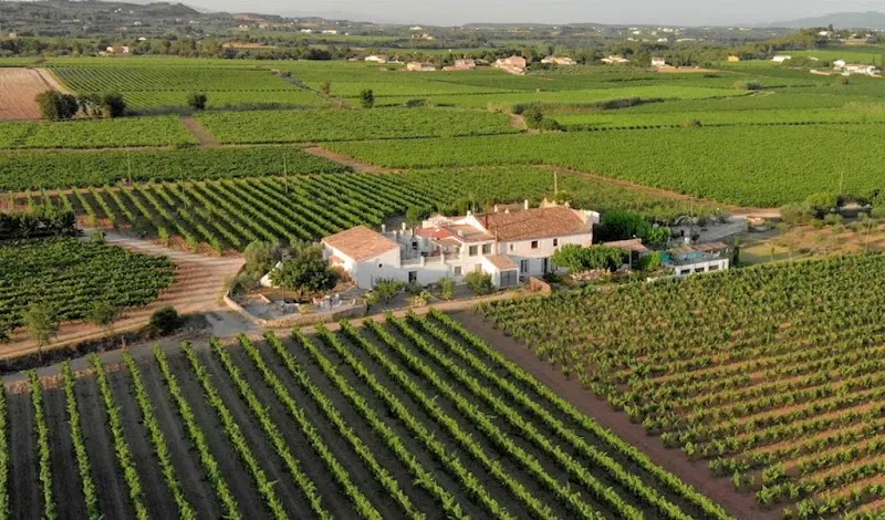 Soul Farm mas els Igols - Holiday home en El Vendrell