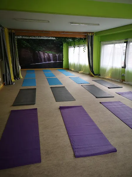Aim Yoga - Centro de yoga en Collado Villalba - foto 2